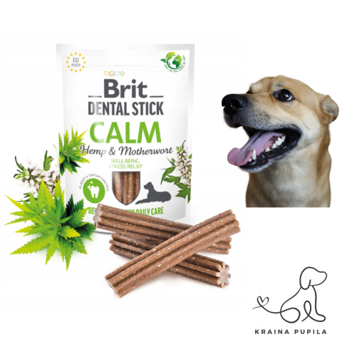 BRIT DENTAL STICK "SPOKÓJ" Z KONOPIĄ I SERDECZNIKIEM 251G