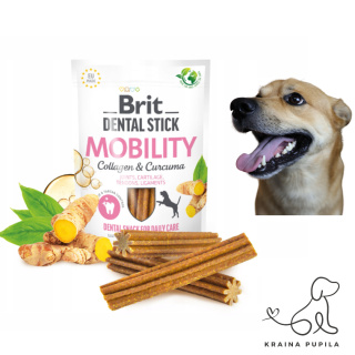 BRIT DENTAL STICK "STAWY I KOŚCI'' Z KURKUMĄ I KOLAGENEM 251G